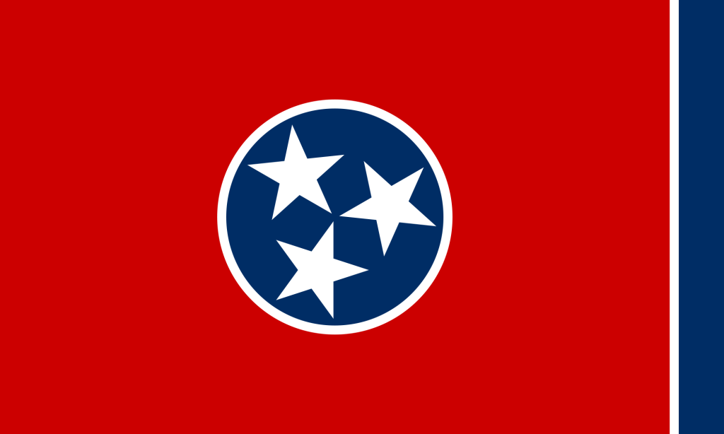 state flag - Copy