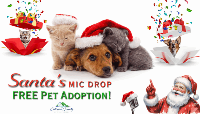 Secret Santas Sponsoring Free Pet Adoptions at Catoosa County Animal Shelter