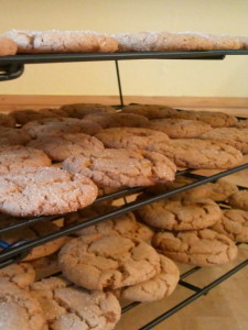 gingersnaps