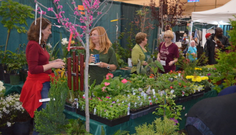 ‘Master Your Garden” Expo Set for Camp Jordan Park