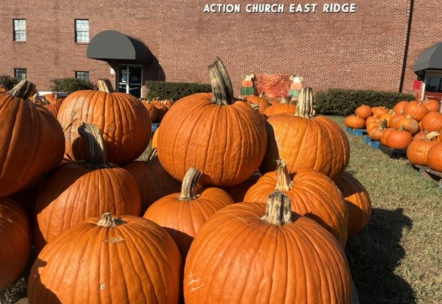 Action Church Presents Annual Pumpkin Patch